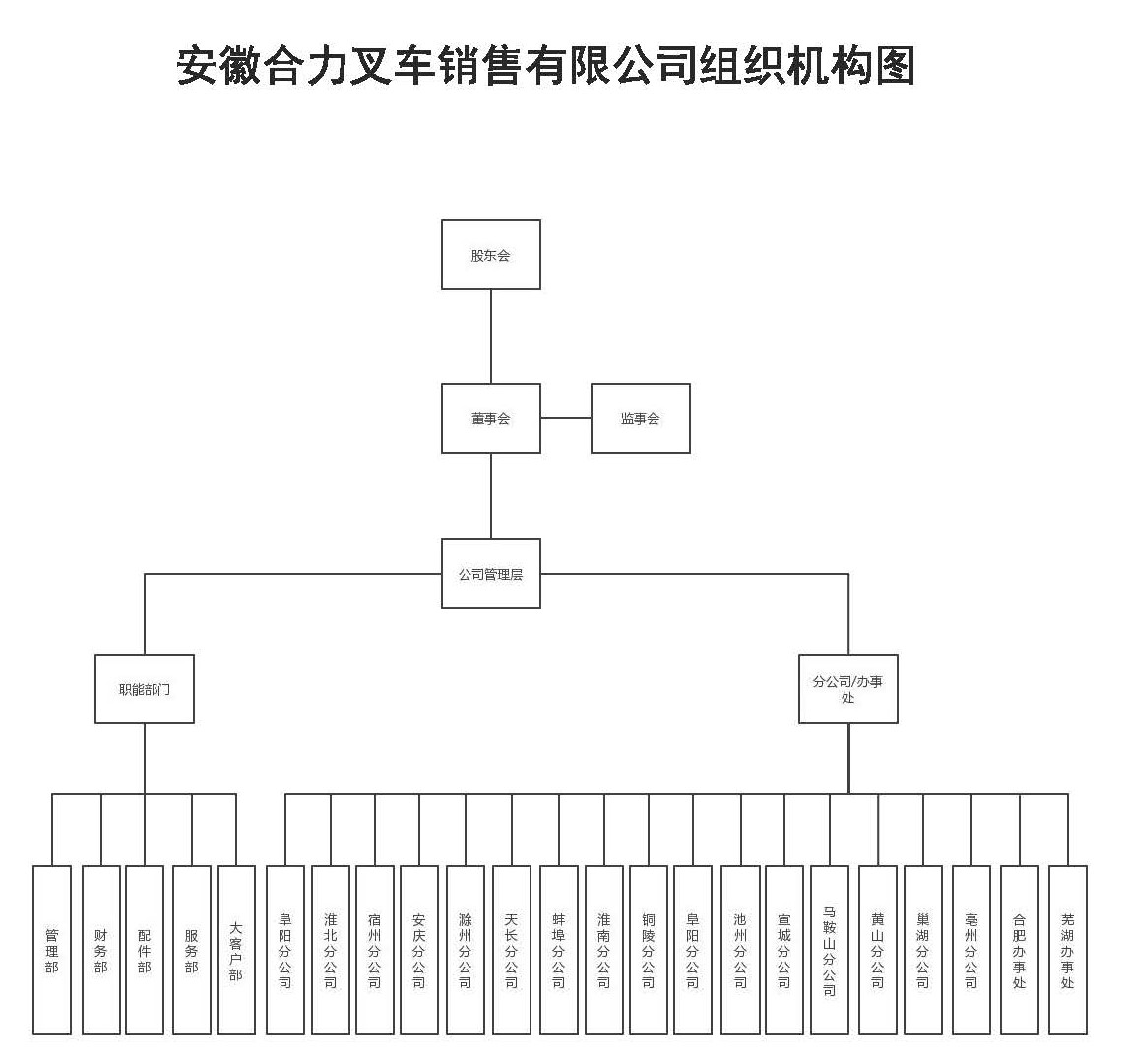 安徽尊龙凯时人生就是搏销售组织机构图.jpg